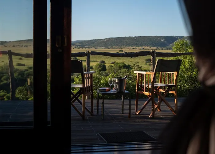 Hillsnek Safari Camp - Amakhala Game Reserve