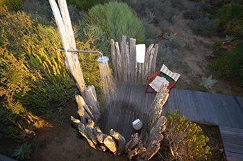 Hillsnek Safari Camp - Amakhala Game Reserve *