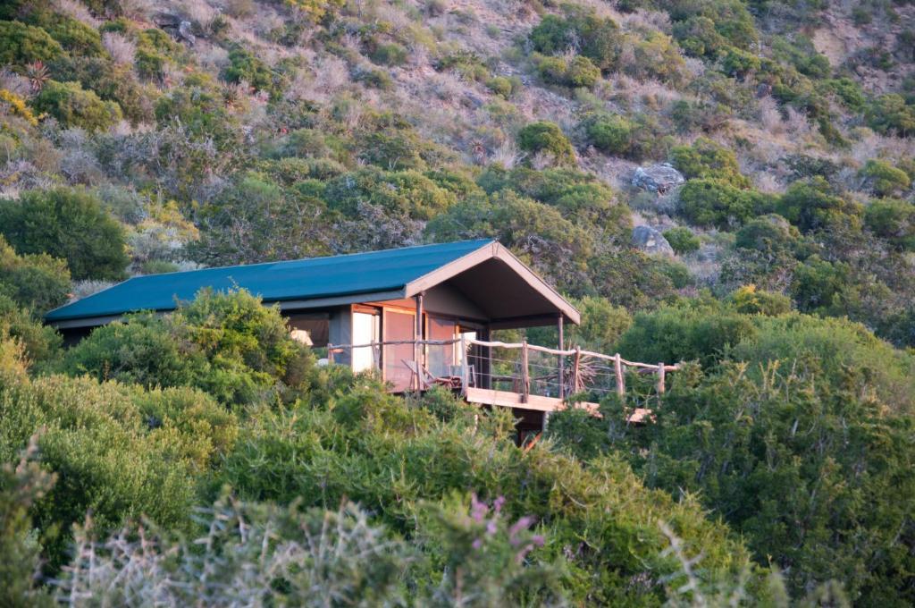 Hillsnek Safari Camp - Amakhala Game Reserve * Amakhala Game Reserve
