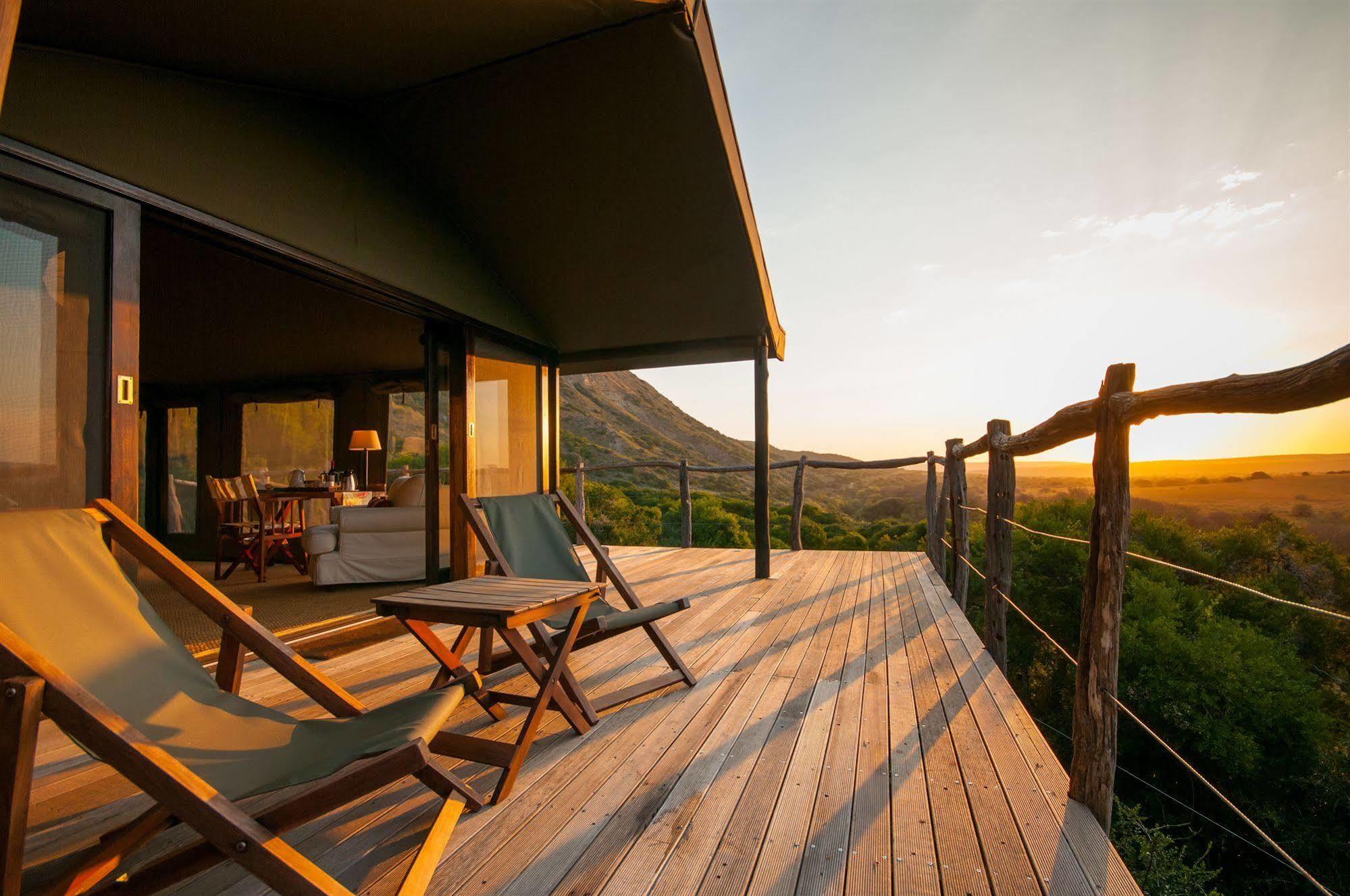 Hillsnek Safari Camp - Amakhala Game Reserve Lodge *
