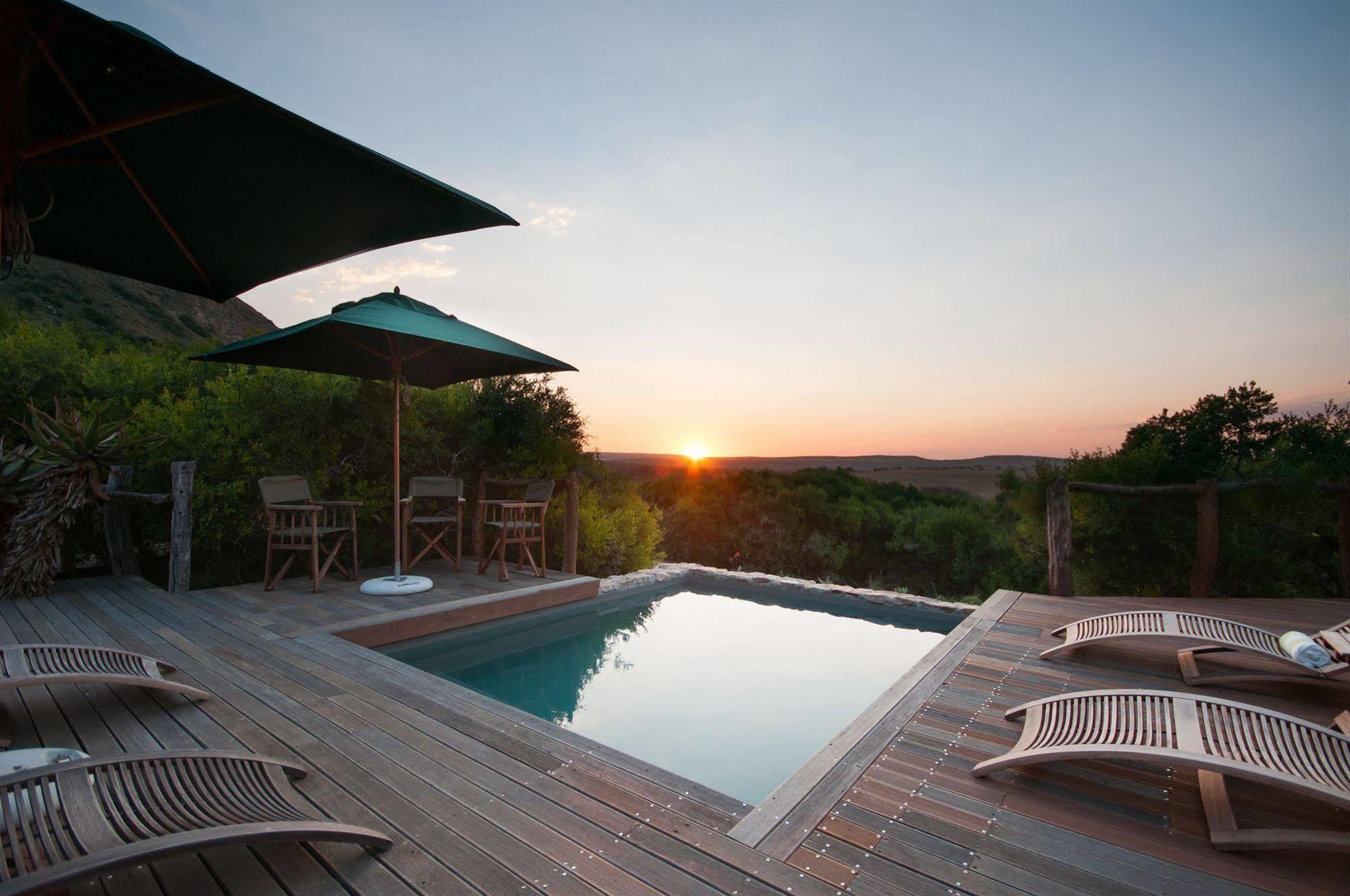Hillsnek Safari Camp - Amakhala Game Reserve *