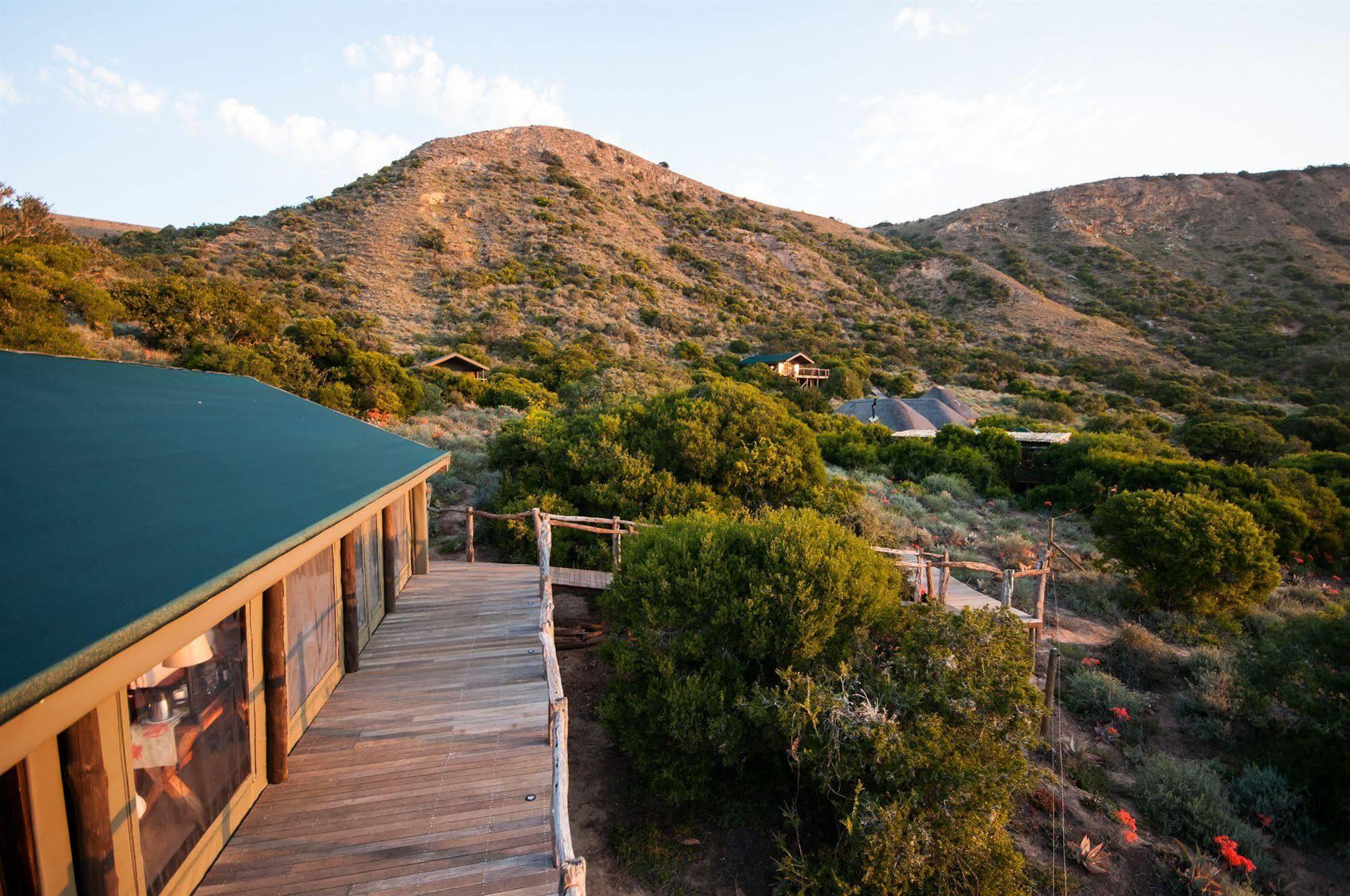 Hillsnek Safari Camp - Amakhala Game Reserve * Amakhala Game Reserve