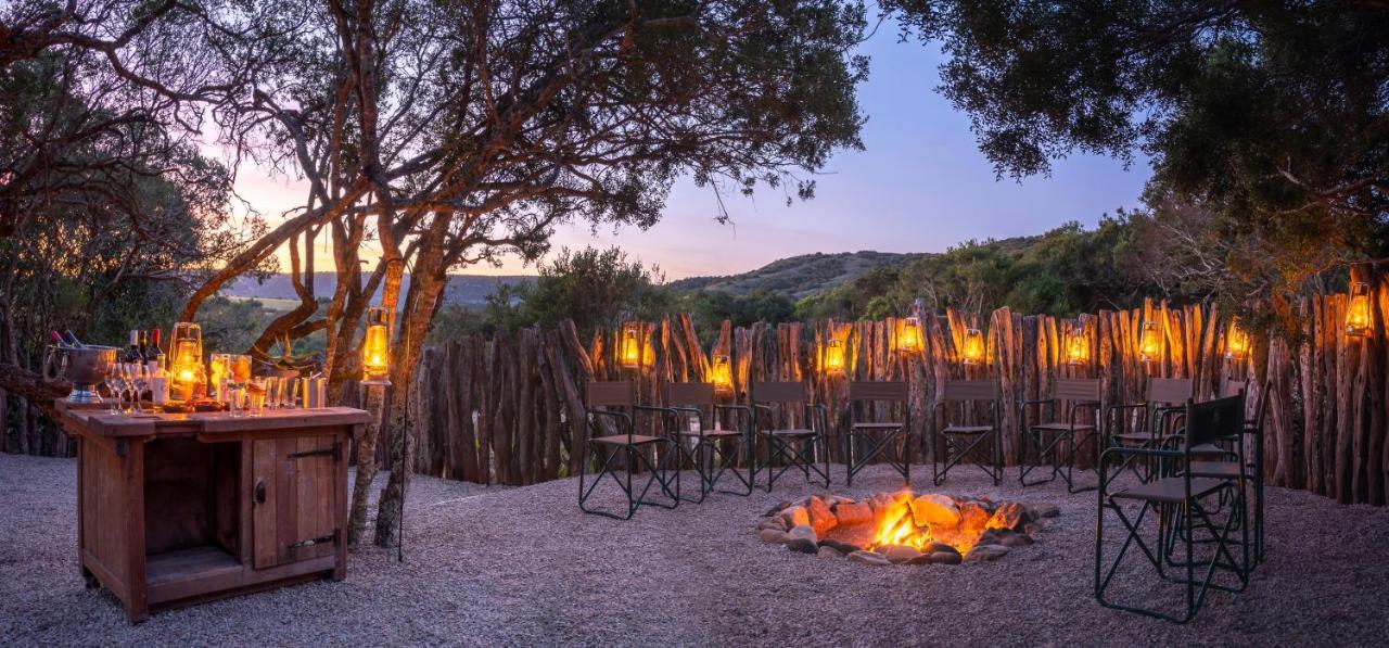 Hillsnek Safari Camp - Amakhala Game Reserve Lodge *