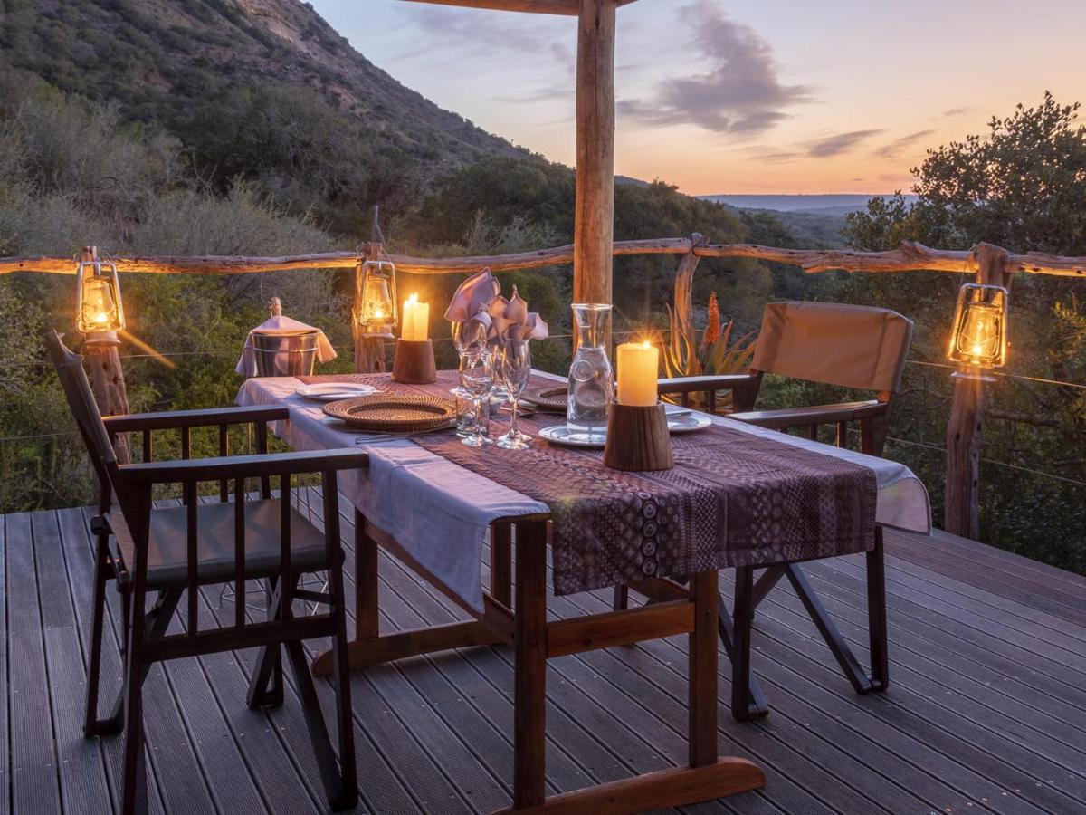 Lodge Hillsnek Safari Camp - Amakhala Game Reserve *